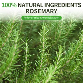 Rilltea Rosemary Tea Bags,36 Teabags Fresh Rosemary Leaves Premium Dried Rosemary Leaves - Non-GMO - Caffeine-free - Rosemary Tea Bags Rosemary Seeds