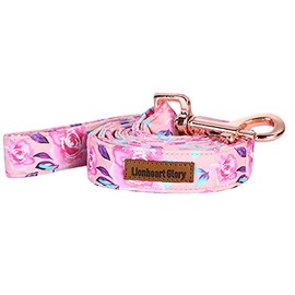 Lionheart glory - Correa para perro fuerte con estampado de rosas para niñas, duraderas y cómodas asas suaves para perros pequeños, medianos y grandes