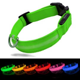 FluffMinds Light Up Rechargable Dog Collar, LED Dog Collar Light for Night, Flashing Dog Collar with 3 Modes, Adjustable Glowing Dog Collar for All Dogs (Green, Medium (50cm))