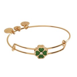 Alex and Ani Four-Leaf Clover Slider Charm Bangle