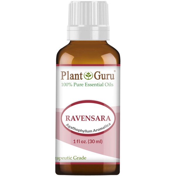 Wild Ravensara Essential Oil (Agathophyllum Aromatica Madagascar) 1 oz / 30 ml 100% Pure Undiluted Therapeutic Grade.