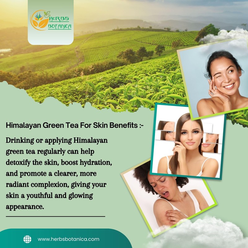 Himalayan Green Tea Organic, 25 Count, Non GMO, Gluten Free,