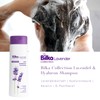 Bilka Collection Lavender & Hyaluronic Hair Shampoo Hydrating Regenerating with