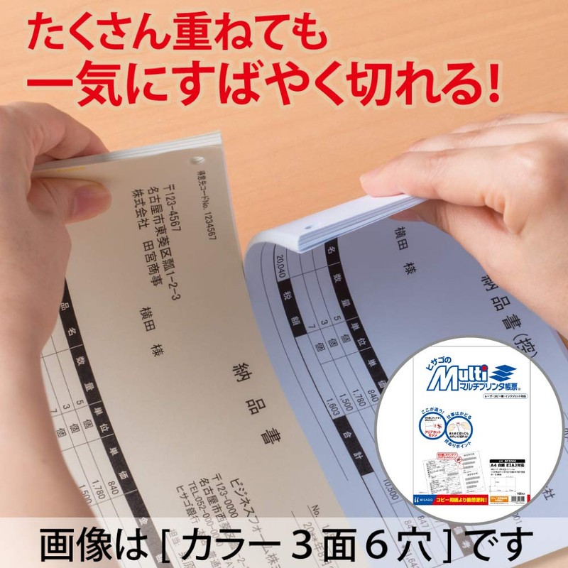 hisago Multi Printer 帳票 A4 Blank EIAJ Support (100 Sheets) bp2066 