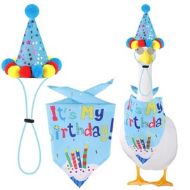 Lyreh Happy Birthday Porch Goose,Goose Costume Clothes Cute Hat & Scarf for 17"/ 23" Plastic Gooses Statue Duck Decorations