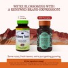 Herbs, Etc. Kidney Tonic Softgels - Function Supplement - Natural