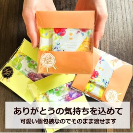 Petite Gift Bath Salts, 4 Types, 2 Bags x 10 Set, Retirement, Stylish, Individually Packaged, Thank You, Women, Thank You Stickers, Thank You