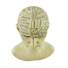 Things2Die4 Creepy Cast Resin Phrenology Head Victorian Steampunk