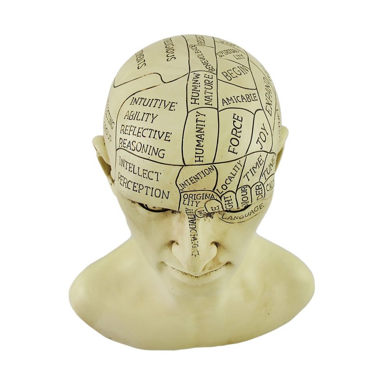Things2Die4 Creepy Cast Resin Phrenology Head Victorian Steampunk