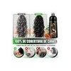 Shampoo Tinte Instantaneo Cubre Canas Extracto Plantas 500ml