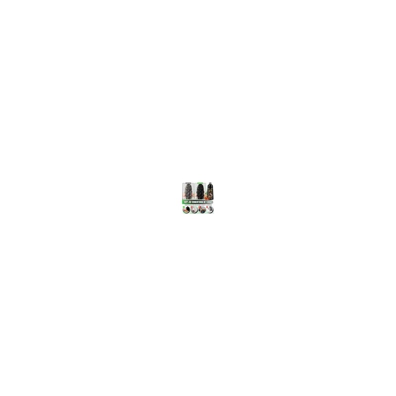 Shampoo Tinte Instantaneo Cubre Canas Extracto Plantas 500ml