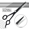 Focus World Uk FOCUSWORLD Professional Hairdressing Scissors 6.5" Black