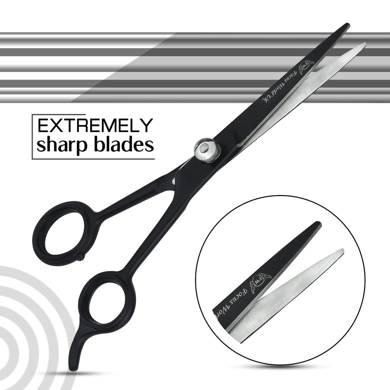 Focus World Uk FOCUSWORLD Professional Hairdressing Scissors 6.5" Black