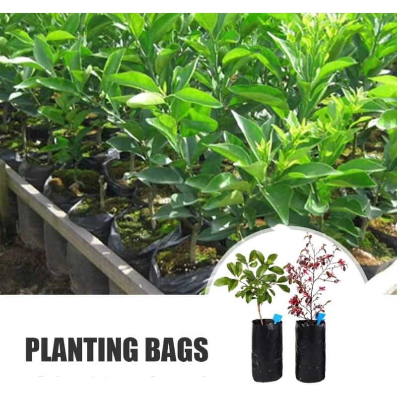 Genérico Bolsas Cultivo de Jardin o vivero Altas (20x30)