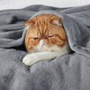 Bedsure Cuddly Fluffy Fleece Blanket, Warm Winter Soft Sofa Blanket,