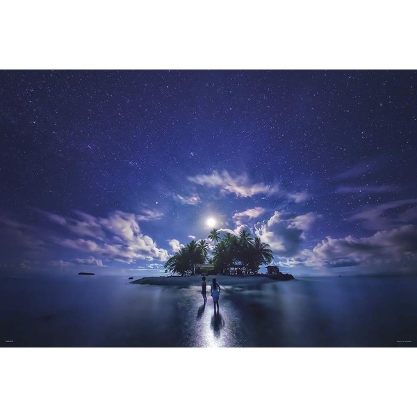 KAGAYA 1000 Piece Jigsaw Puzzle, Moonlit Night on the South Island (JEEP Island), Glowing Puzzle, 19.7 x 29.5 inches (50 x 75 cm)