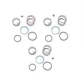 TALSWIF N078434 Spring kit with N089668 Steel Ball fits DCF885 DCF886 20 V Impact Wrench Spring Kit, Whole Set for Complete Installation (3 Set/Pack)