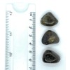Labradorite Small Crystal Tumbled Stones - 3 Pc