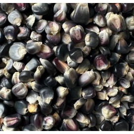 Does Not Apply Azul Blue Bolita Flour Corn Masa Tortilla Maize 20 Seed Pack