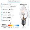 7 Watt Night Light Replacement Bulbs - 12 Pack Salt