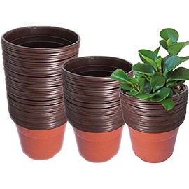 elfinrm Seedling Pots Plastic Plant Pots Seedling Cups Nursery Pots Plant Container Fit for Seeds Germination, Seedlings Growing, Succulents Planting, Seeds Starting 100Pcs