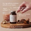 Mindful Extracts Organic Mushroom Extract Blend 60 Vegan Capsules