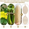 Ruzister 2 Beige Luffa-Badetücher，Luffa Schwamm，Loofah，Rückenschrubber