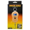 Glory Fish CS-004 Digital Scale