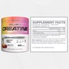 Cellucor Creatine Powder Fruit Punch – 5g Micronized Creatine per