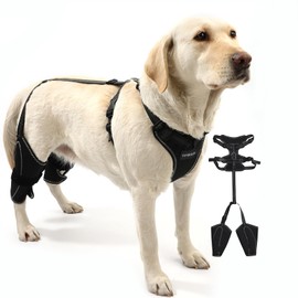 YENBOLOI Dog Knee Brace for Torn Acl Hind Leg for Support with Cruciate Ligament Injury, luxating Patella,Arthritis,Dog Acl Knee Brace with Metal Splint Hinged Support for CCL Luxating Patella