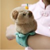 KBIBCK Capybara Slap Bracelet, Capybara Crocodile Snap Band Toy, CapybaraPlush