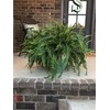 Garden Armor Frost Armor Bag, 80x20 inches, Outdoor Wind Protection