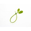 daio化成 Cable Ties Green Leaf Cable Ties in Outdoor Use