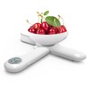 CAMRY Kitchen Scale, Digital Folding Food Scales for Travel Motorhome,