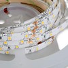 Mextronic LED Strip 3528 Warm White (2700K) 24 W 500