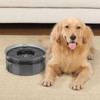 PETTOM Water Bowl Dog without Drooling 3 L