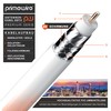 CSL - Antenna Cable Angled 8k 4k HDTV - 0.5