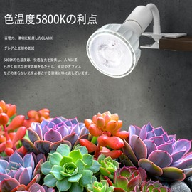 Pispoer Clip Lamp, 24W Plant Growing Lamp, Color Rendering RA98 Full Spectrum (Satisfying Plant Growing Light), Color Temperature 5800K, Gooseneck Length 5.3 inches (13.5 cm), Switch Wire Length