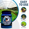 Great White Mycorrhizal Fungi, Beneficial Bacteria for Plant Growth, Root