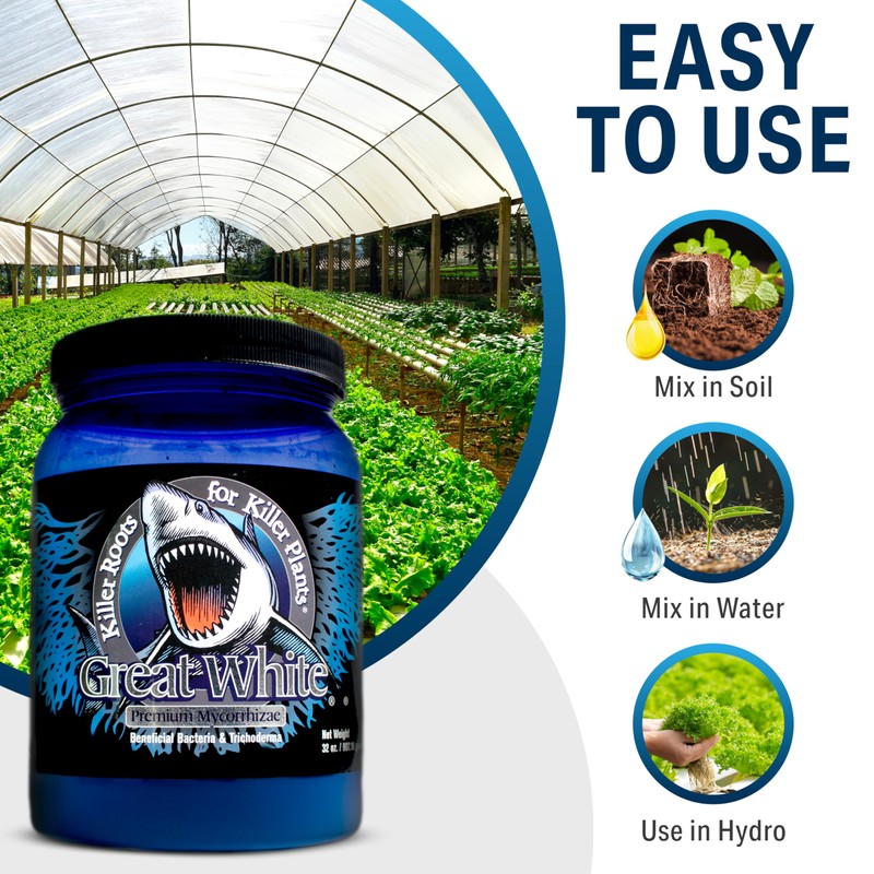 Great White Mycorrhizal Fungi, Beneficial Bacteria for Plant Growth, Root