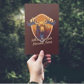 White Mountains, New Hampshire, Black Bear, Vivid, (4x6 Birch Wood Postcards, 2-Pack Stationary, Rustic Home Wall Decor)