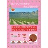 Kunitaro Mega Size Rooibos Tea 60P