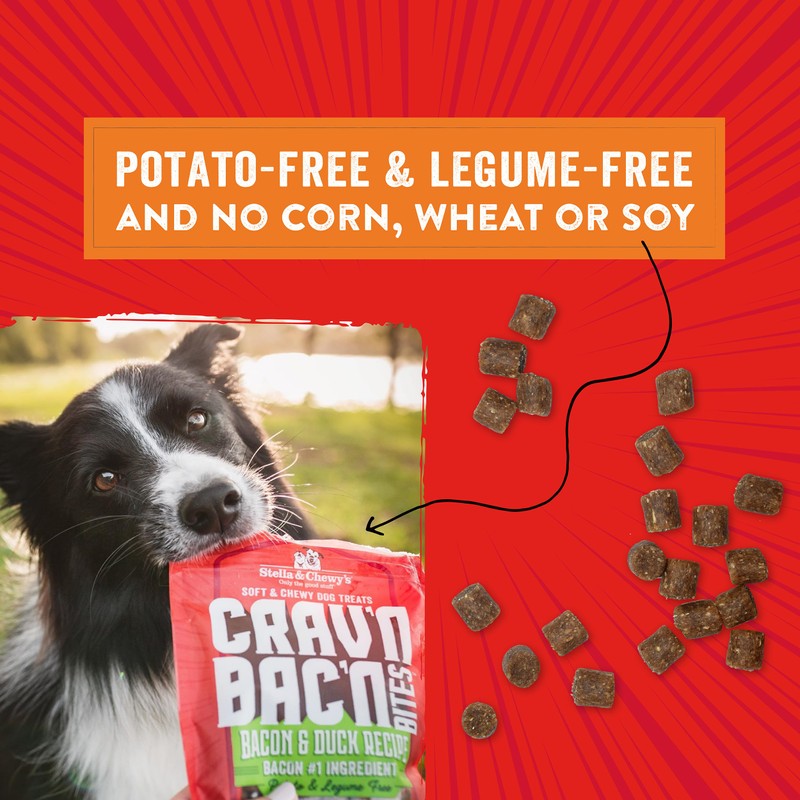 Stella & Chewy's Training Dog Treats - Crav'n Bac'n Soft