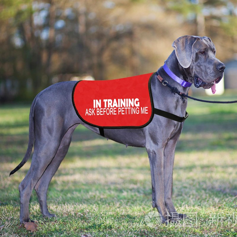 In Training Ask Before Petting Me Dog Jacket Vest Alert