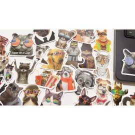 Car Stickers 50 Animal Sticker Pack Throwback Dog and Cat Memes Laptop Water Bottle Phone