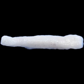 Diggers Jig Tails (8 CT) BEAVER TAIL PANFISH BITES- ICE FISHING/PANFIS - White