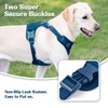 No Pull Dog Harness for Small Medium Large Dogs -