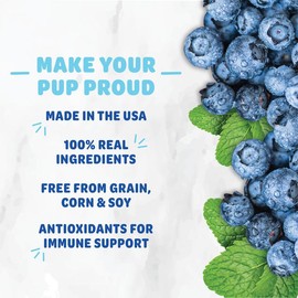 The Tooth Berry Dental Sticks 32 Stick Count