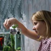 egniFurn 4-Pack Clear Aquarium Plant Holders with Hooks, Ideal for