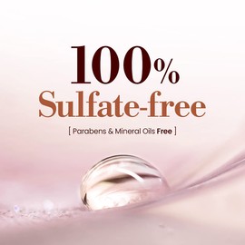 Kundal Pink Grapefruit Sulfate Free Moisturizing Shampoo for Dry Damaged Hair with Argan Oil, 16.9oz, x 2 Bottles